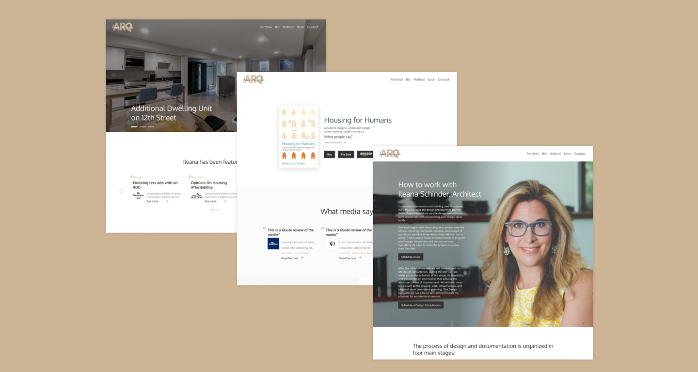 Ileana Schinder / Website Redesign