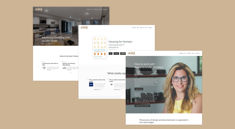 Ileana Schinder / Website Redesign